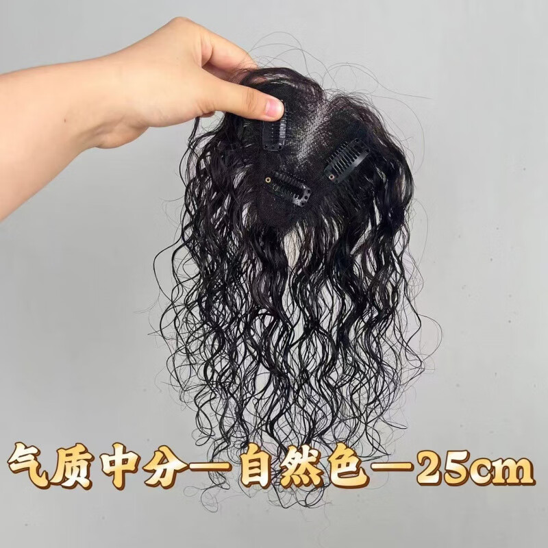 TANNY瑞士網(wǎng)卷發(fā)假發(fā)片女真發(fā)遮白發(fā)蓬松增發(fā)量自然無(wú)痕持久燙卷補(bǔ)發(fā)片 手織無(wú)邊【T型卷發(fā)7*10-25CM】自然色