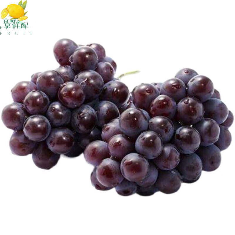 京臻峙果玫瑰香葡萄山东特产平度大泽山新鲜葡萄整箱孕妇水果 4斤