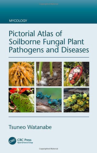 预订 Pictorial Atlas of Soilborne Fungal Plant Pathogens and Diseases