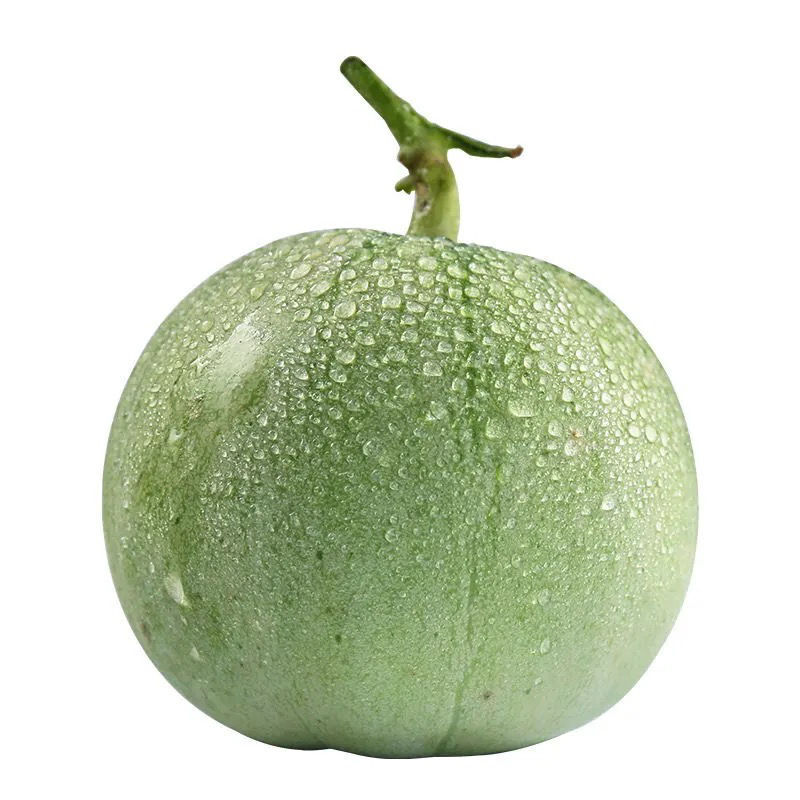 素界绿宝甜瓜时令新鲜水果当季绿宝石脆甜香瓜新鲜 精品【10斤大果】