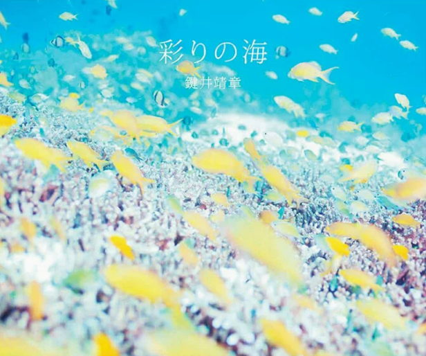 现货 日文原版 彩りの海 彩色海洋 PIE 鍵井靖章 画册鉴赏艺术摄影书籍