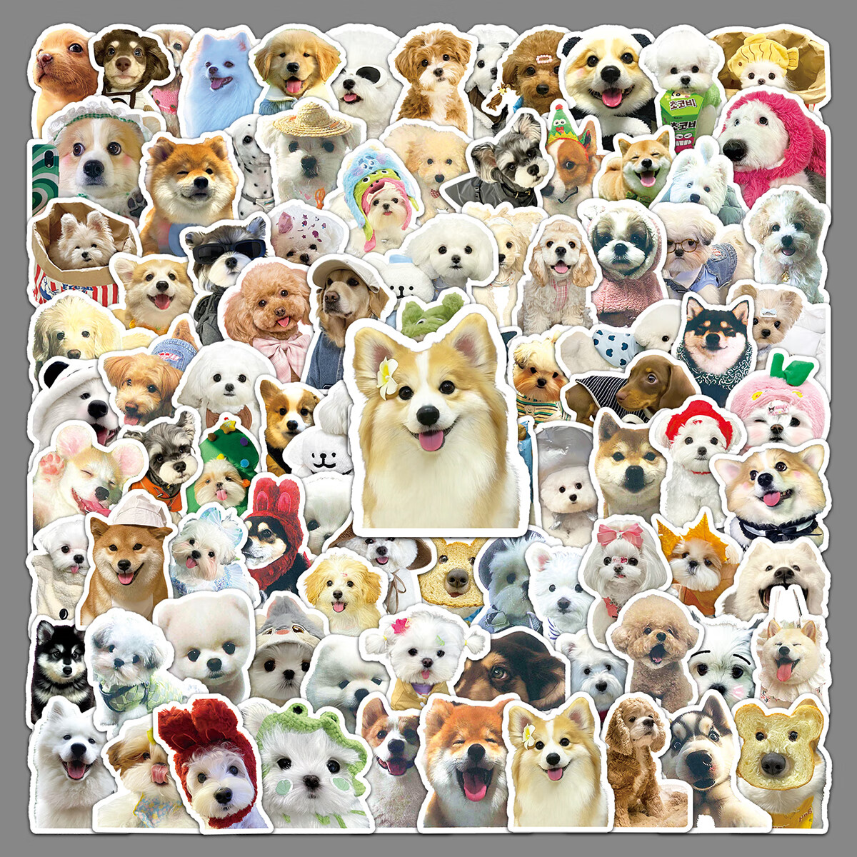 100张可爱狗狗网红萌宠贴纸 电脑ipad相册水杯文具盒耳机咕卡手帐衣柜