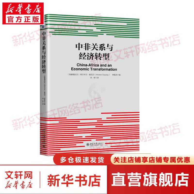 中非关系与经济转型 图书