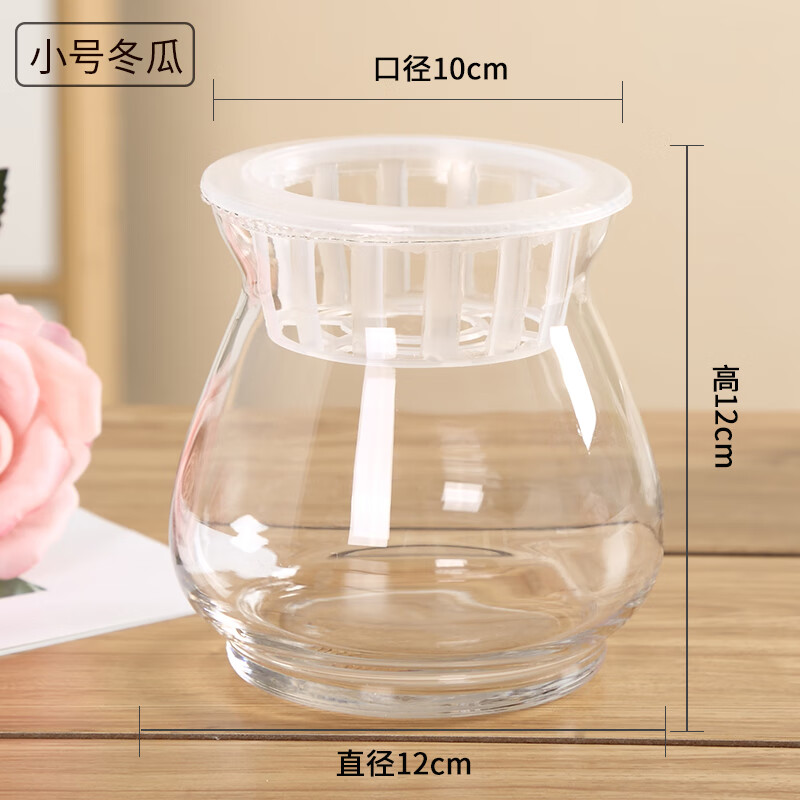 睟馬玻璃水培花瓶 竹綠籮玻璃花盆桌面創(chuàng)意水養(yǎng)植物玻璃瓶容器 小冬瓜 中等