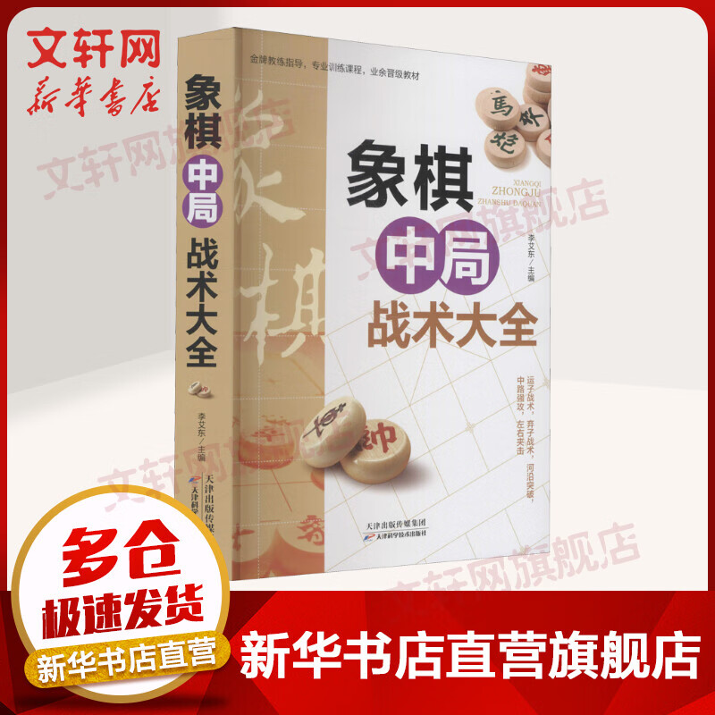 象棋中局战术大全 图书