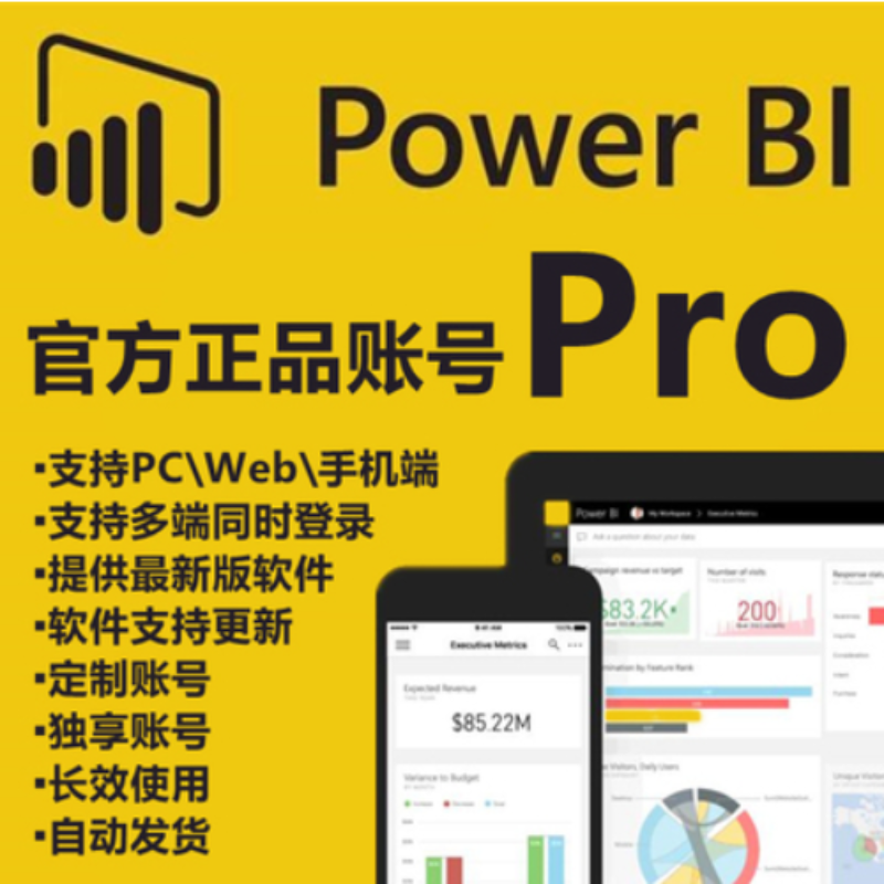 Power BI数据可视化powerbi pro账号统计分析报表展示 半年期 yanxihu 不含税