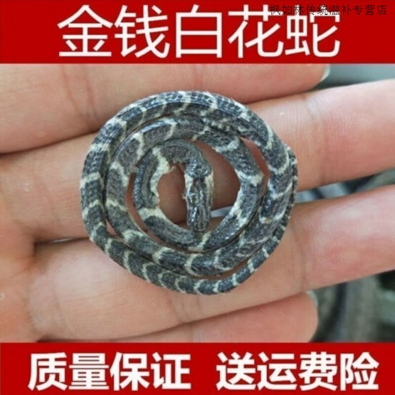 白花蛇 相关京东优惠商品排行榜 价格图片品牌优惠券 虎窝购