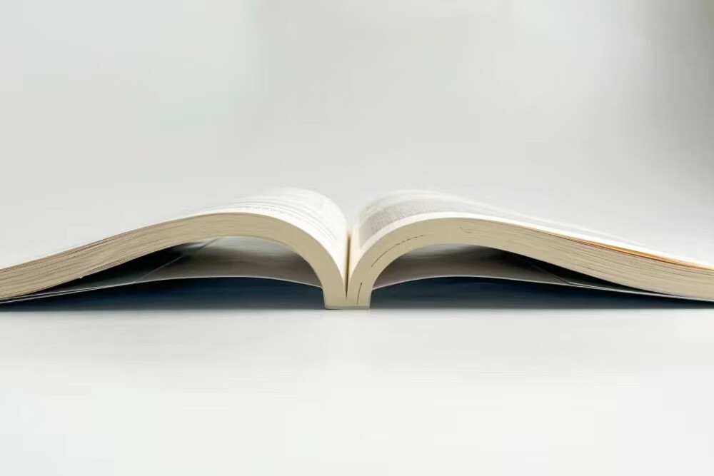 Selenium 4 自动化测试项目实战:基于 Python 3