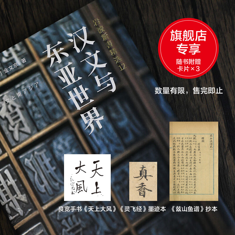 卡片汉文与东亚世界 岩波新书精选12 京都大学教授金文京自用中文重写