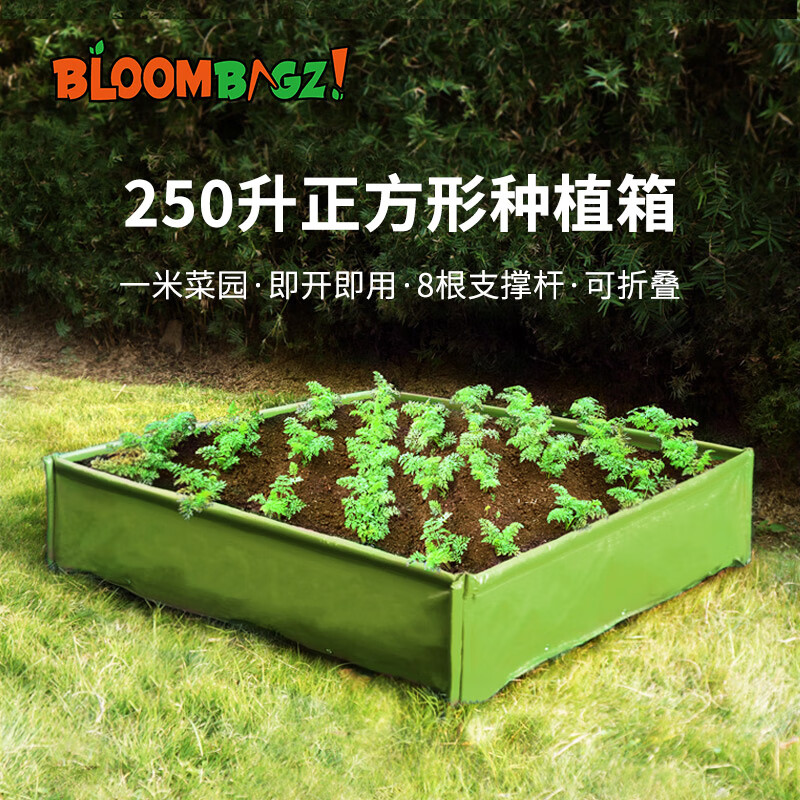 Bloombagz 超大号菜园室外正方形花盆种菜家庭鲜花蔬菜盆种植箱 绿色250L