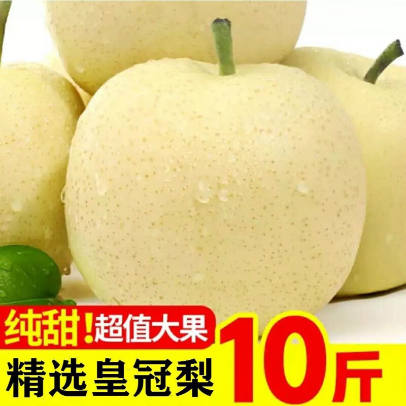 皇冠梨百年老果园直发雪梨雪花梨子水果10斤5斤3斤砀山梨 10斤精选箱