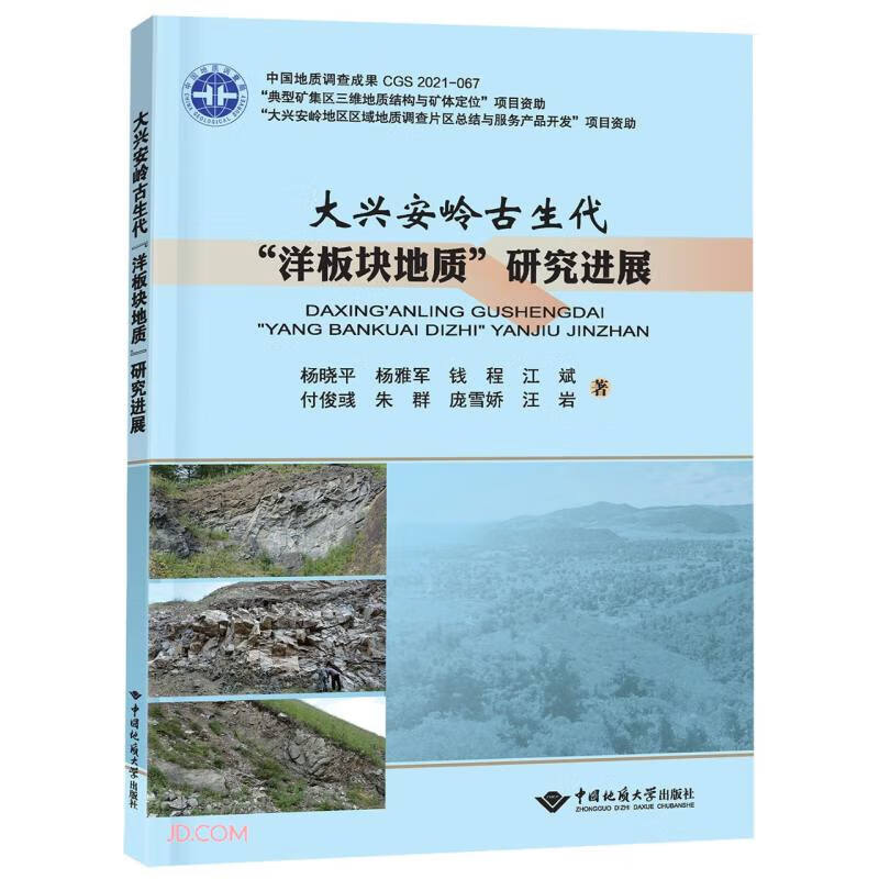 大兴安岭地区古生代“洋板块地质”研究进展