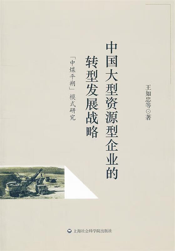中国大型资源型企业的转型发展战略—"中煤平朔"模式研究 王如忠 等著