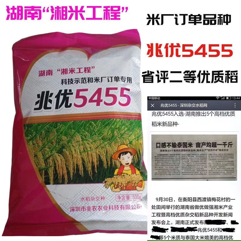 禾之润兆优5455高产杂交水稻香米水稻品种高产杂交水稻种种粮大户水稻