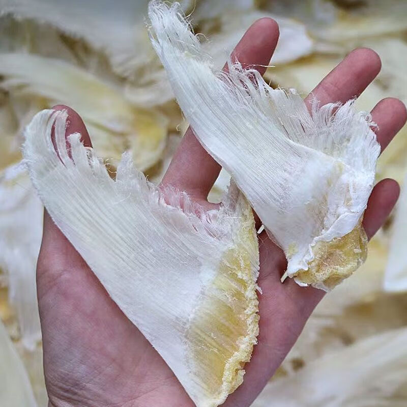 食怀青片翅干货白婵翅进口鱼鳍滋补煲汤酒店海参鲍鱼佛跳 无骨青片翅