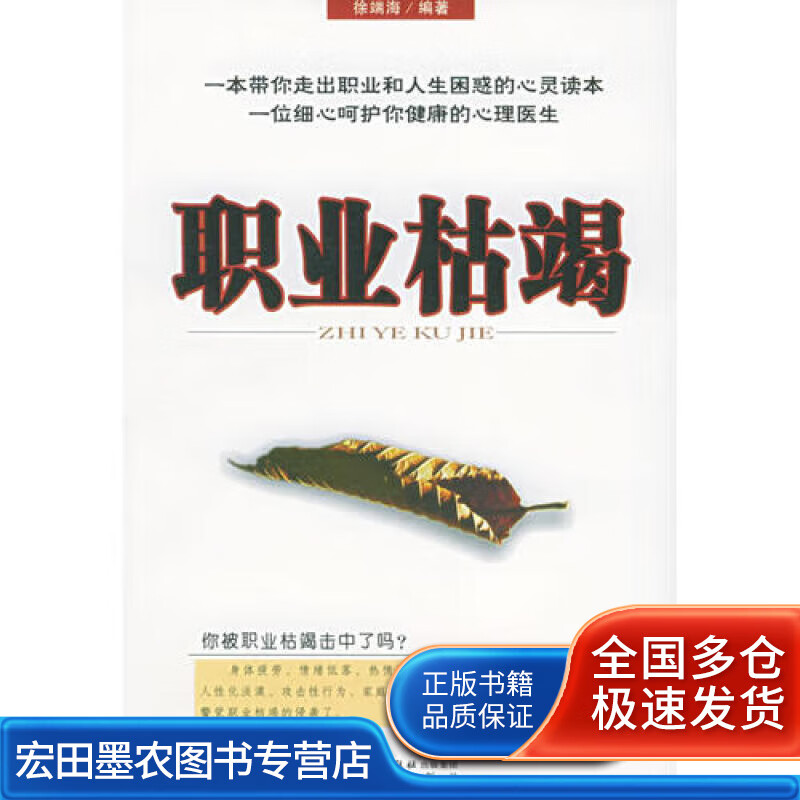 职业枯竭【正版好书,下单速发】