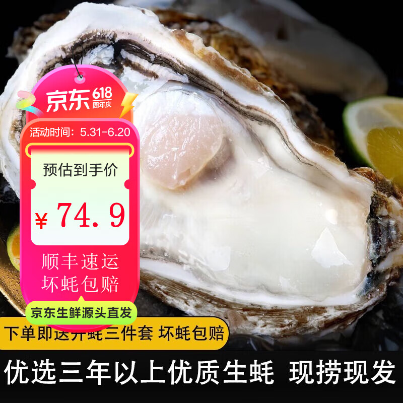 峰贝乳山生蚝鲜活批发一箱 营养滋补乳山牡蛎 贝类海鲜水产烧烤食材