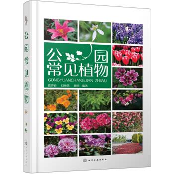 公园常见植物