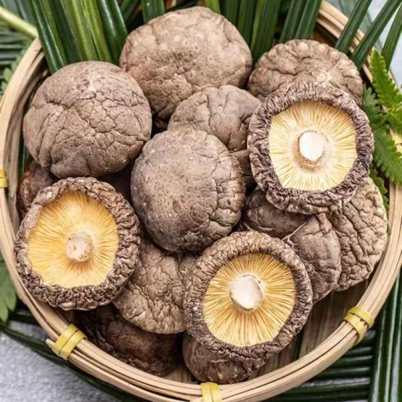 香菇干货批发干香菇批发五根肉厚农家土特产新货野生椴木香菇菌类