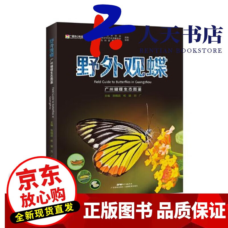 现货 野外观蝶：广州蝴蝶生态图鉴 科普读物 陈锡昌杨骏刘广广东科技出版社9787535967220