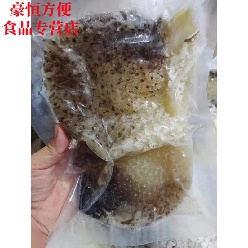shxi精选深海特大新鲜刺龟鱼皮刺鲍皮刺豚皮海胆皮鲜嫩方便食品 500g