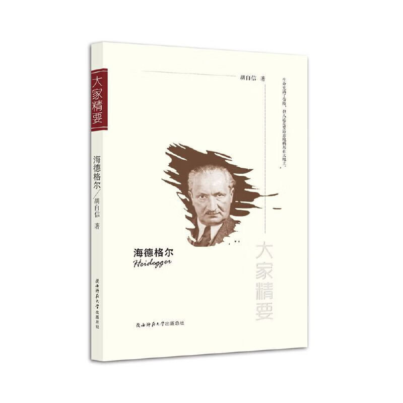 “大家精要”丛书：《海德格尔》