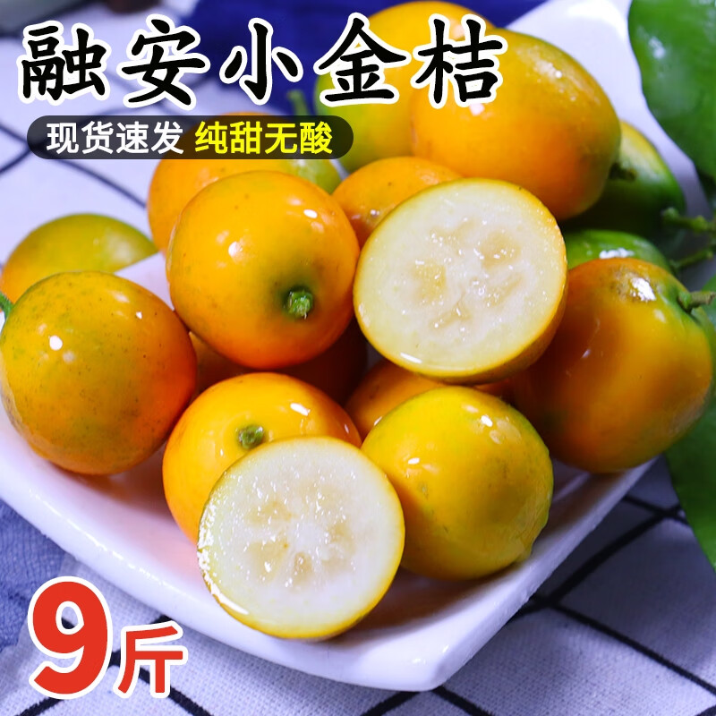 橄表白【现货】融安脆皮金桔 广西小金桔9斤纯甜新鲜桂林柑橘子滑皮