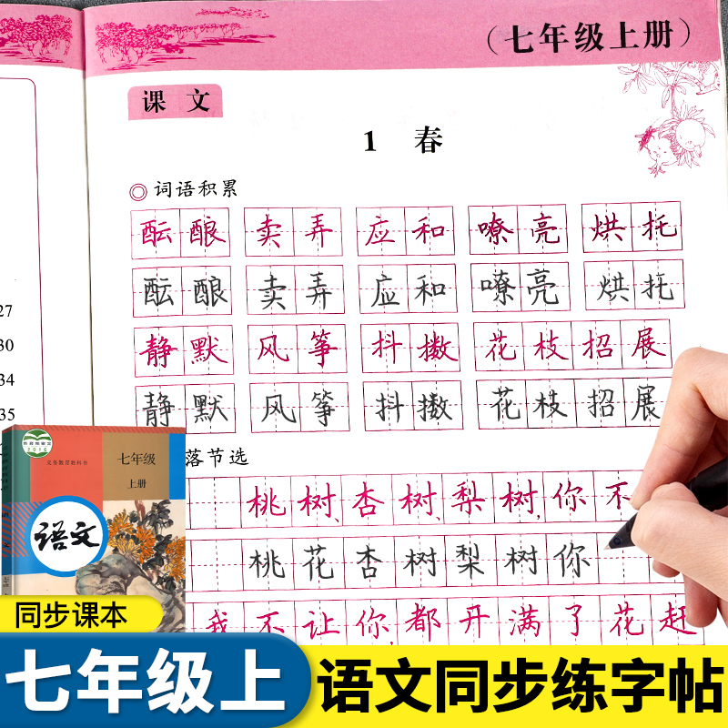 七年级上册语文字帖人教版课本教材同步练字帖初中7年级钢笔正楷硬笔书法生字练习中学生临摹字帖初中生专用初一练字描红本练习册 七年级上册【语文同步练字帖】