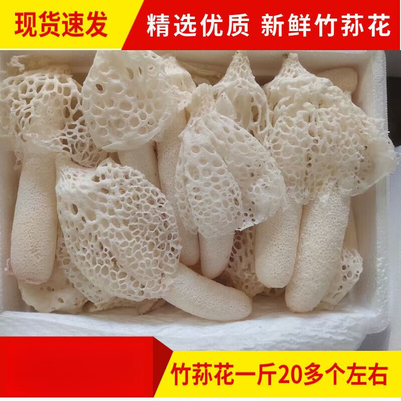 禾澹短裙竹荪菌新鲜竹荪花500g非干货无硫竹笙红托竹荪蛋肉厚 精选