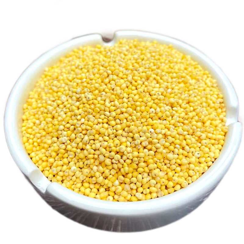 人民東北大黃米2500g五斤新米黏黃米粘糯小米黍子米粘豆包粽子黏米飯 1000g二斤