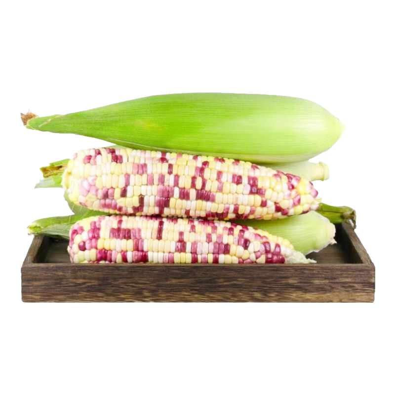 ƷŴ2025ժũŴװͰȴ Ŵ5 14.79Ԫ