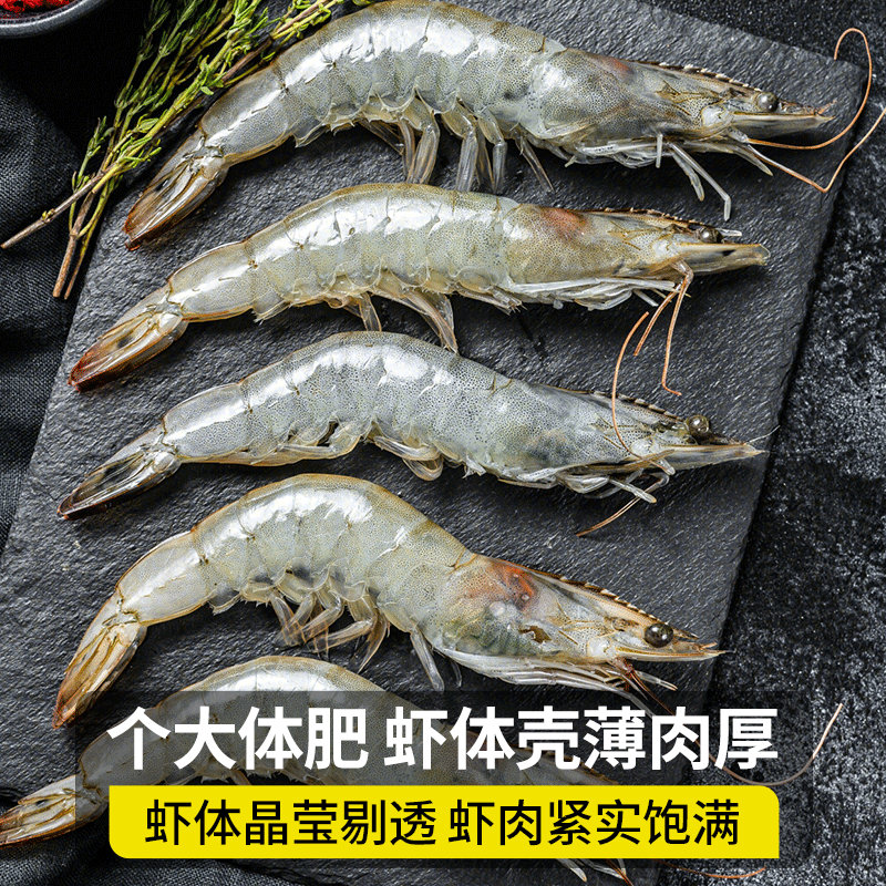 朵芙【当日发】虾 国产青岛大虾 青虾鲜虾海虾冰虾生鲜 虾类白虾 鲜活速冻 3斤(净重) 15-18cm大虾