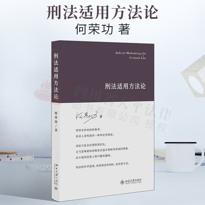 2022新书 刑法适用方法论 北京大学出版社 9787301328262