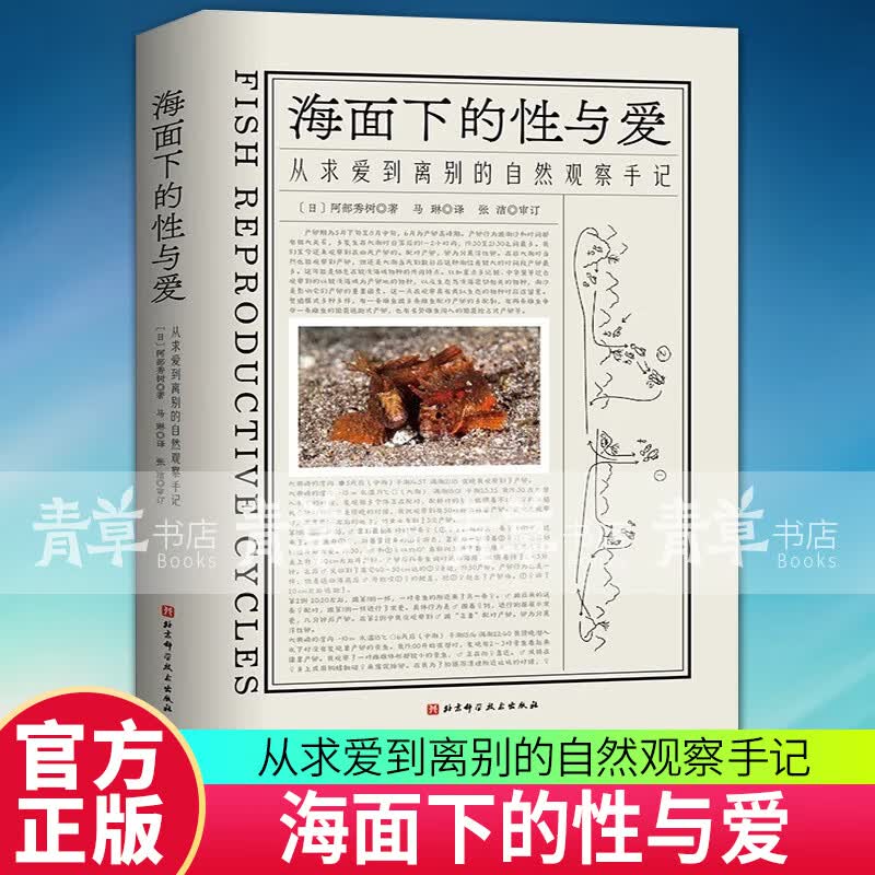 2023新书正版 海面下的性与爱 从求爱到离别的自然观察手记 海洋科普 摄影作品 海洋生物 9787571425807北京科学技术出版社 预售怎么样,好用不?