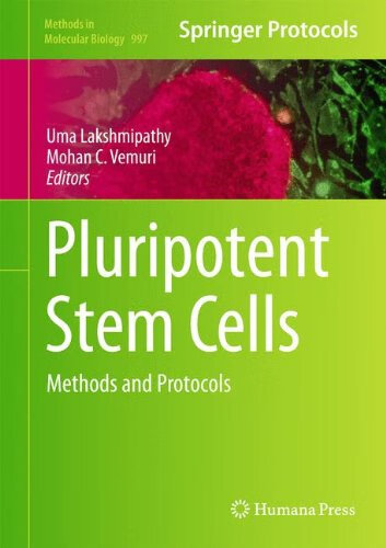 预订 pluripotent stem cells