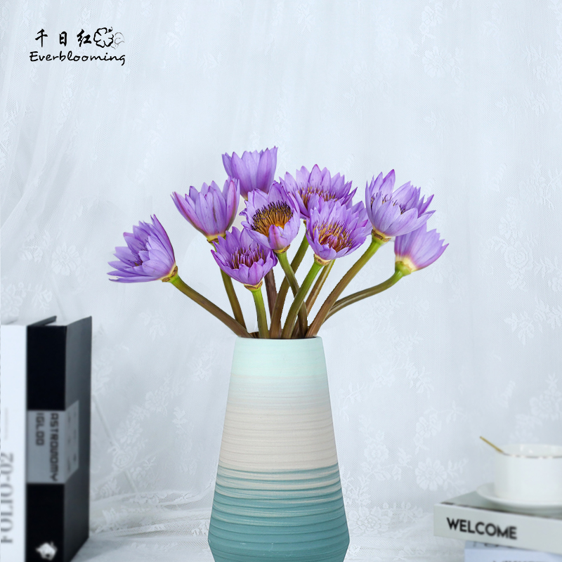 切花家用花瓶插花办公室周花观赏花一周好心情北京鲜花直达一扎10枝