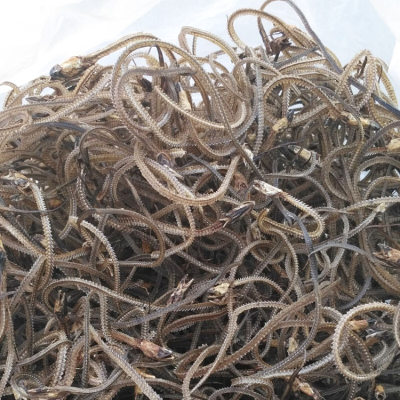 tlxt生黄鳝骨头干货长鱼蛇鱼骨鳝鱼骨可磨粉压颗粒500g 1斤黄鳝骨(整