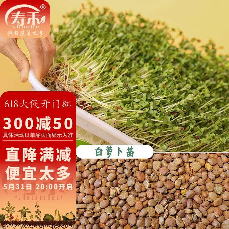 寿禾 芽苗菜种子萝卜苗四季春冬季四季无土水培蔬菜苗豌豆芽苗 白萝卜