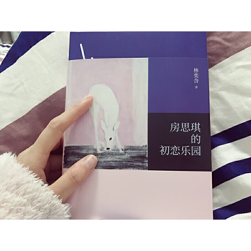 网 房思琪的初恋乐园正版 林奕含 豆瓣9.