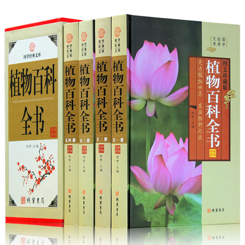 植物百科全书 全四册精装 植物百科全书青少年版 植物百科书籍 学生可