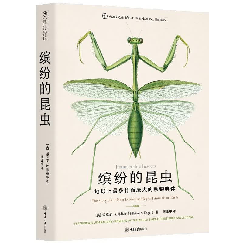 缤纷的昆虫