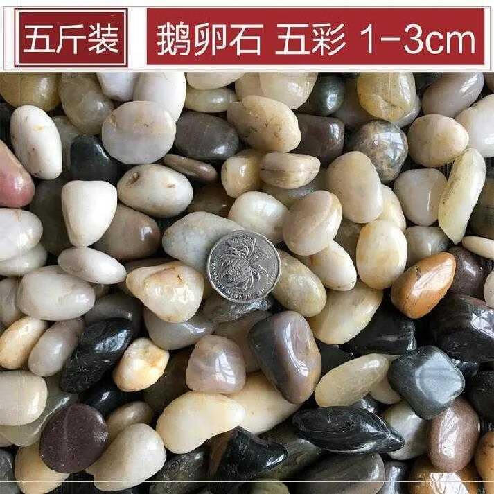 五彩石抛光石园艺白色石头鹅蛋石盆景石头 五彩13cm一元硬币大小5斤装