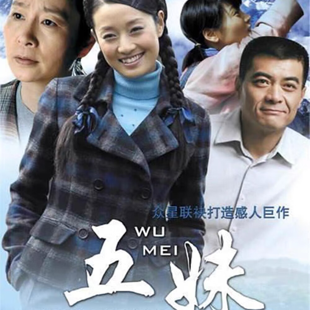 五妹 现代家庭情感励志电视剧完整版 马伊琍 奚美娟 dvd碟片光盘