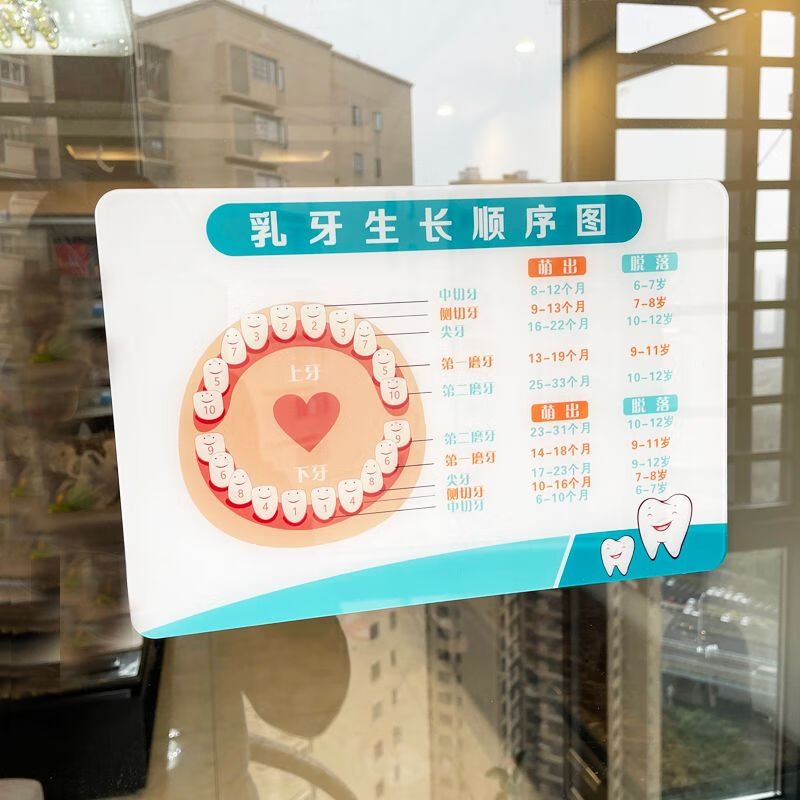 亚克力乳牙生长顺序图萌出周期表口腔医院温馨牙科诊所提示牌定制定制
