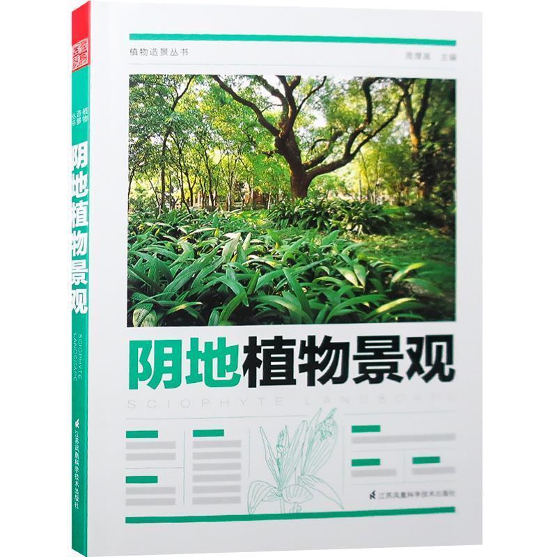 阴地植物景观