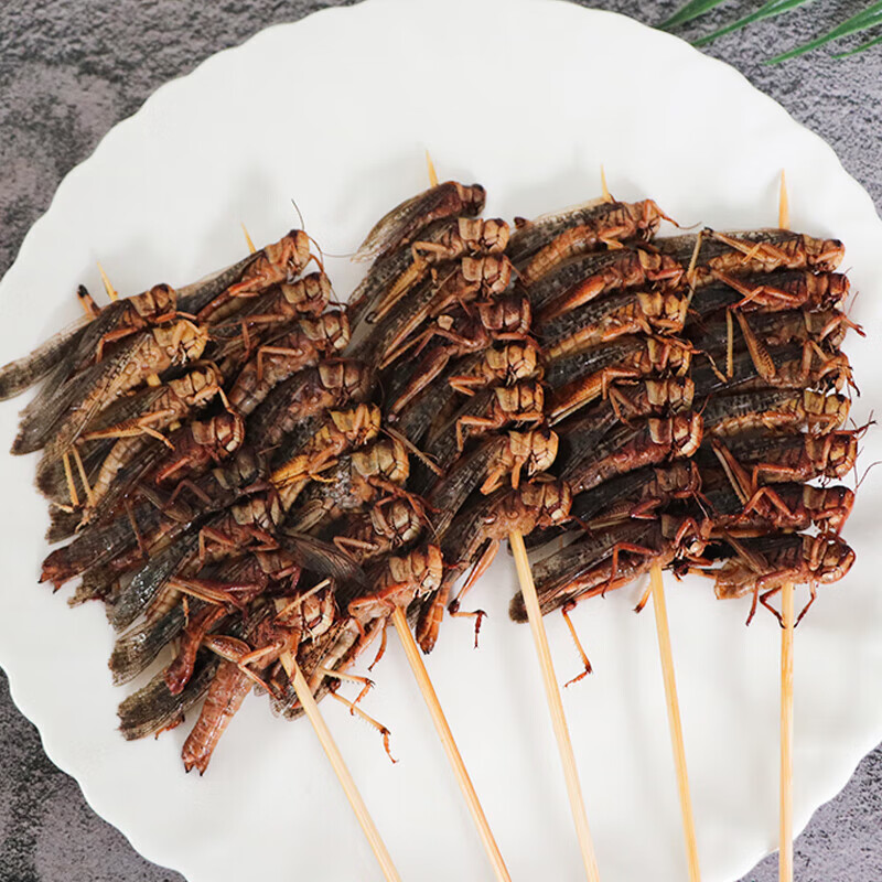 哺食旺烧烤蚂蚱串20串蝗虫串冷冻半成品特色油炸摆摊夜市食材商用小吃