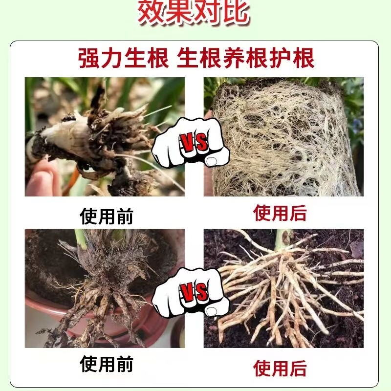 鲁大师高纯爆根粉园林激活土壤育苗生根多根系发达植物壮根粉果蔬营养液 高纯爆根粉【500克*20袋】