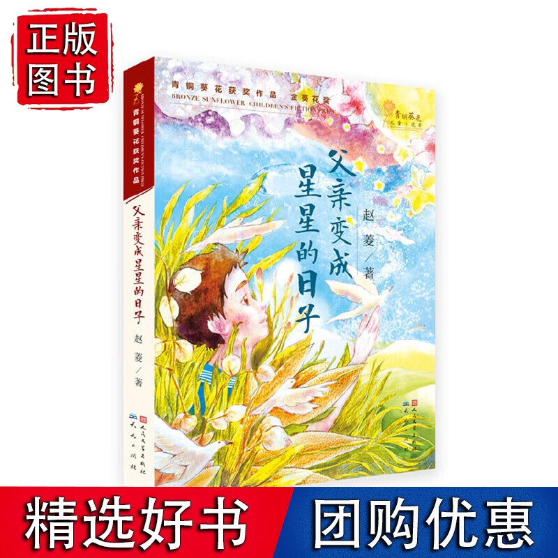 父变成星星的日子