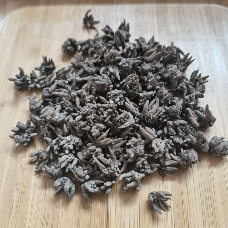 猫爪草 猫爪草中药 猫抓草 猫瓜草中药材 猫爪草中药材 猫抓草中 猫爪