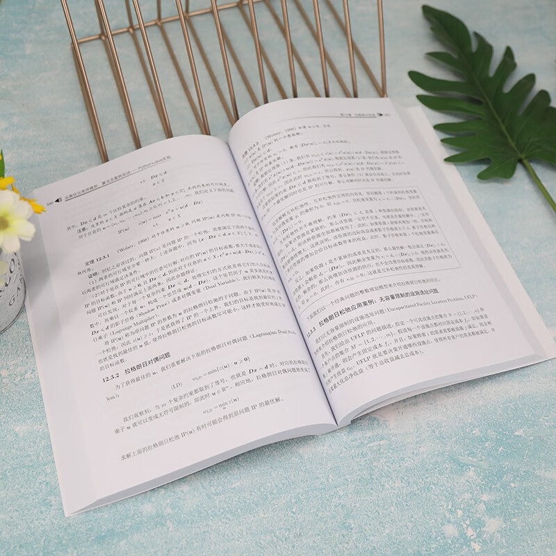 运筹优化常用模型、算法及案例实战——Python+Java实现